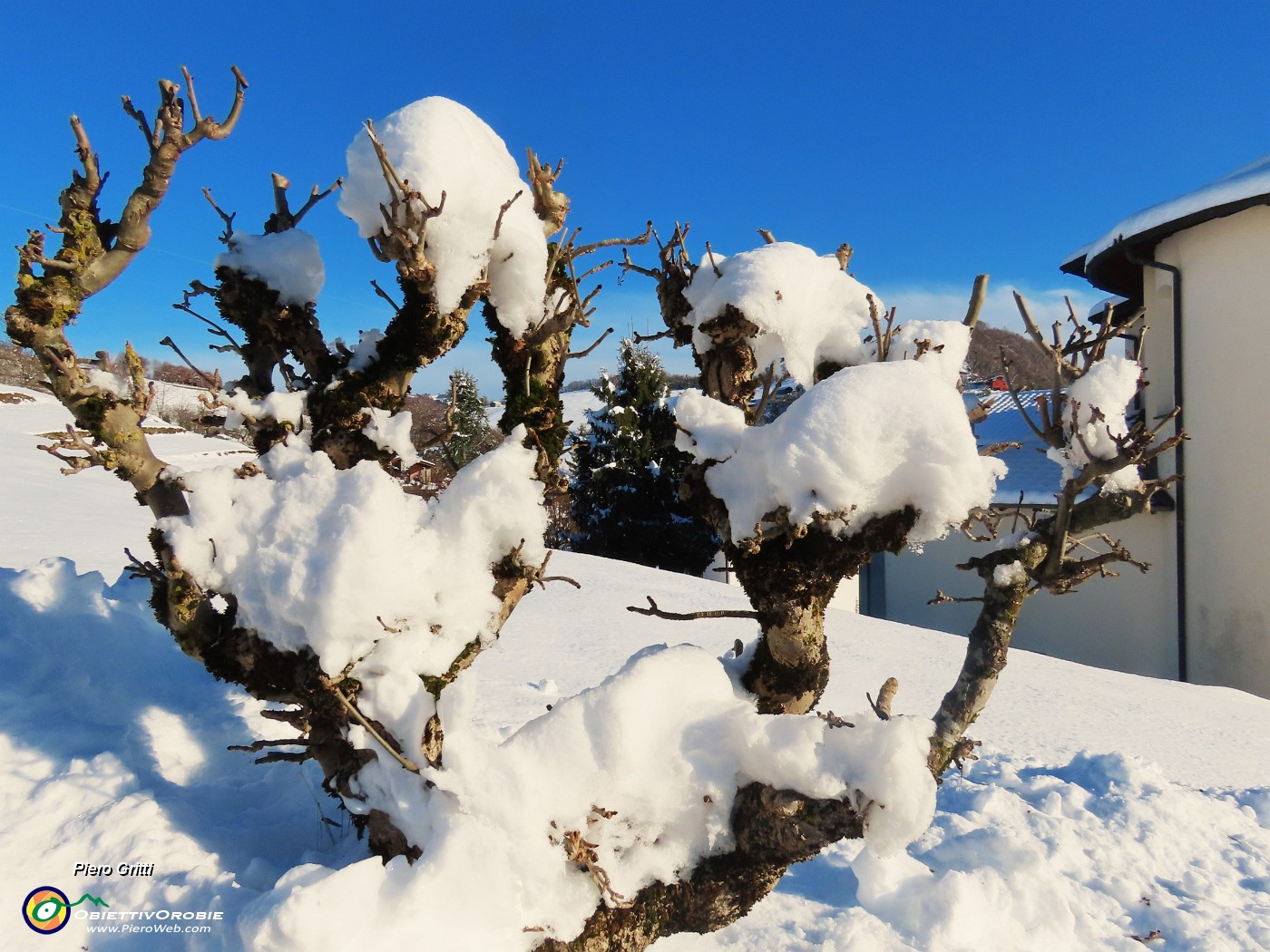 20 Benvenuta neve !.JPG